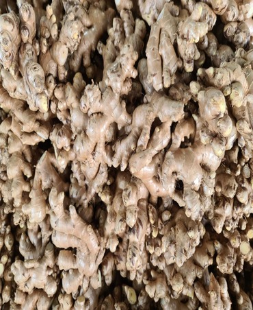 ginger