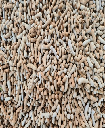 tamarind
