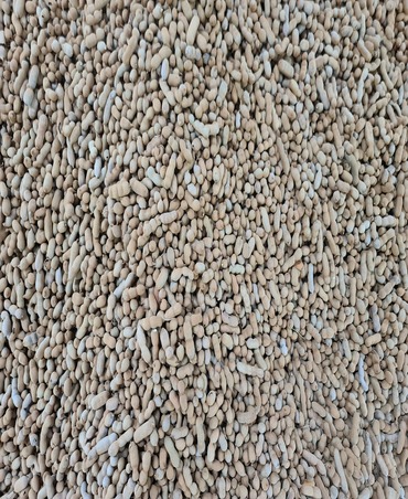 tamarind