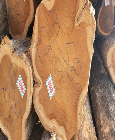 teakwood