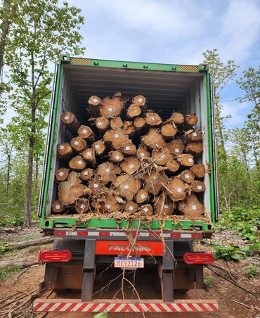 teakwood