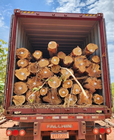 teakwood