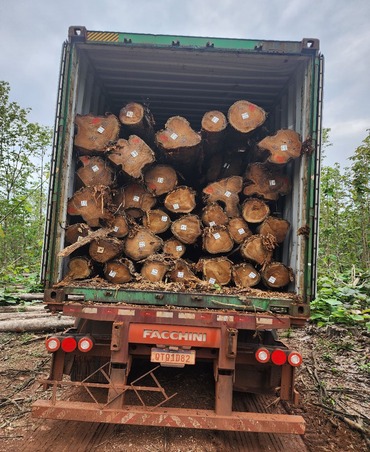 teakwood