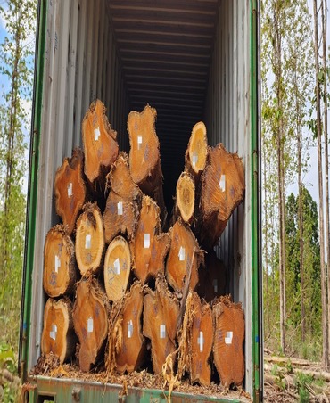 teakwood