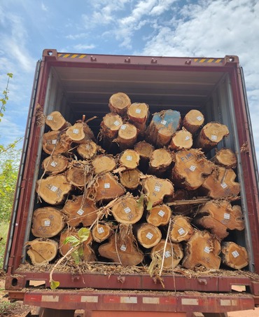 teakwood
