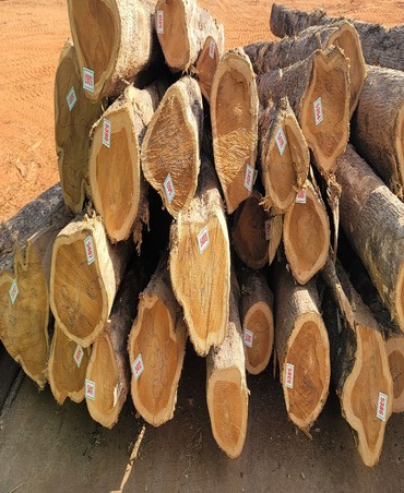 teakwood