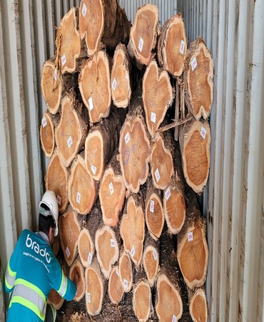 teakwood