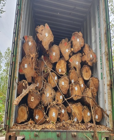 teakwood